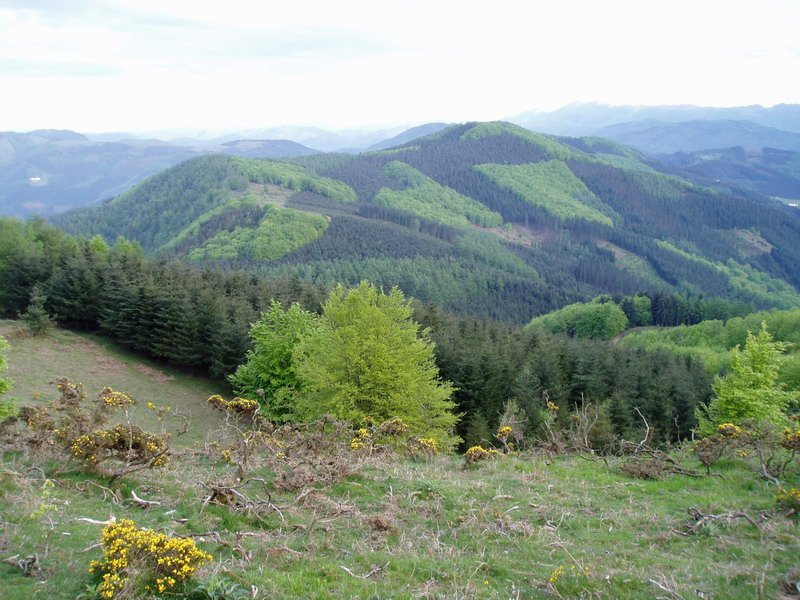 Ipar-mendebaldetik ikusita