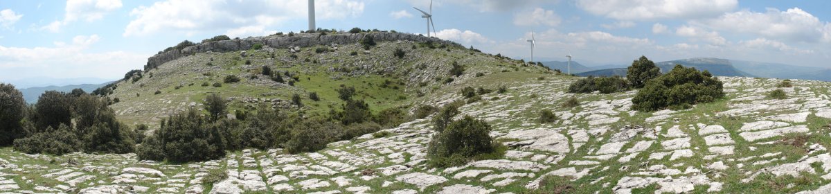 Alto Concha izeneko gaina