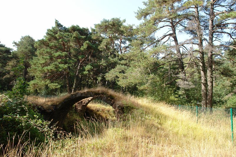 Eraikin zahar baten hondakinak, basoan