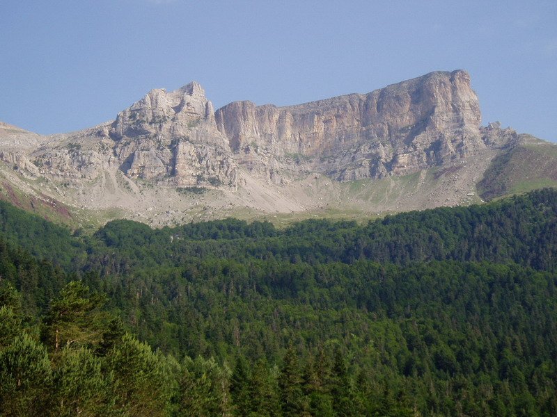 Selva de Ozatik ikusita