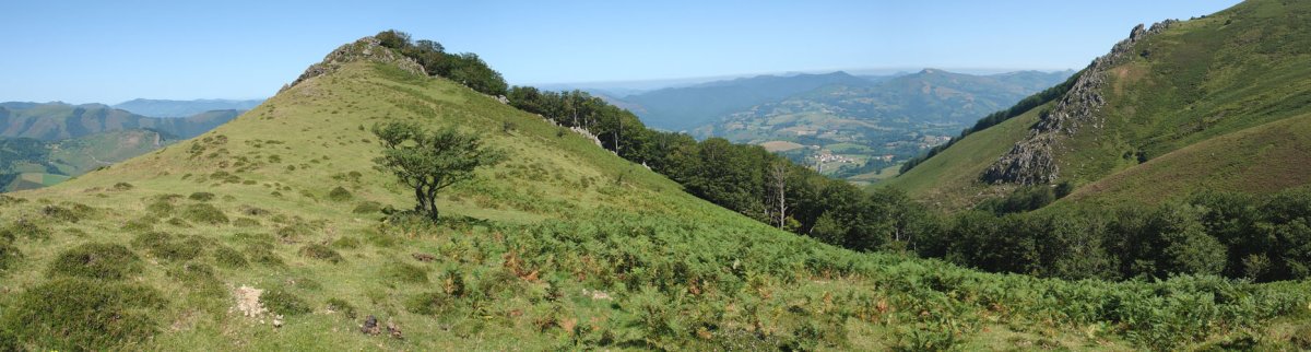 Aaltzuetako kaskoa, Ean