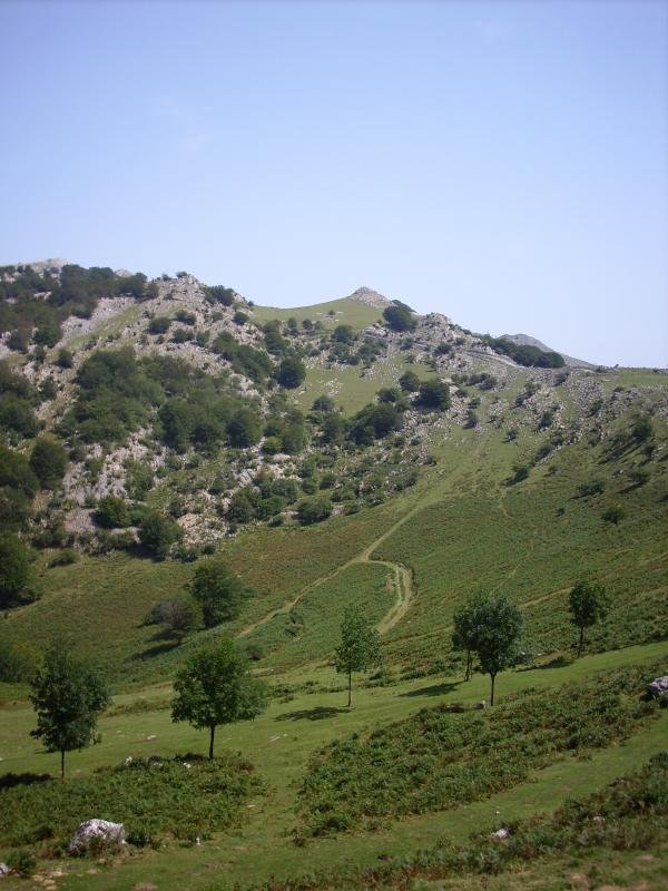 erlo edo kakuetako bidean (azkaratetik)