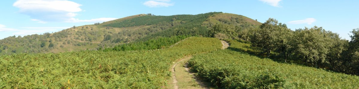 Ekialdeko bizkarretik