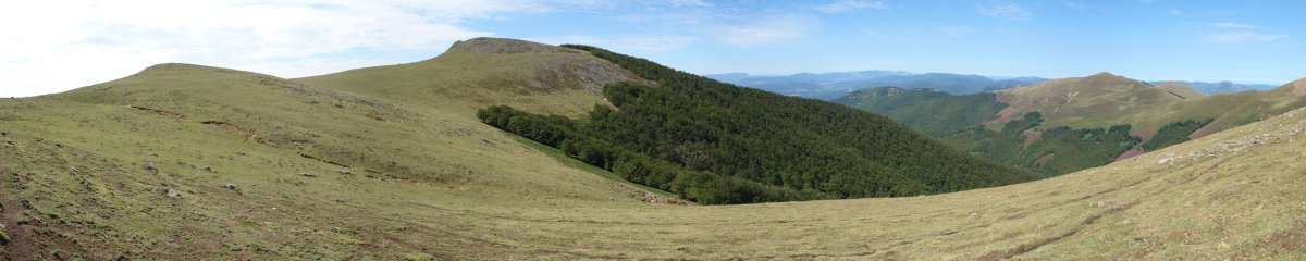 Gain aldea, IEko bizkarretik