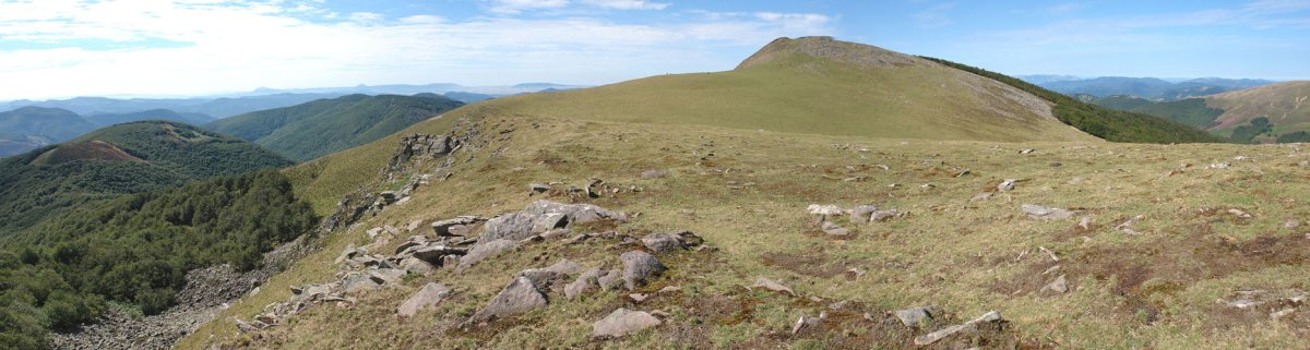 IEko bizkarreko ikuspegia
