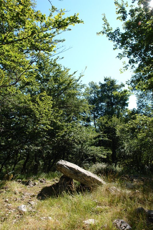 Otsopasajeko trikuharria