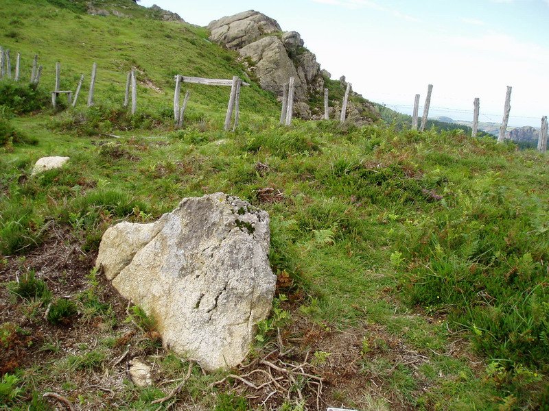 Gaztarrita II mairubaratza