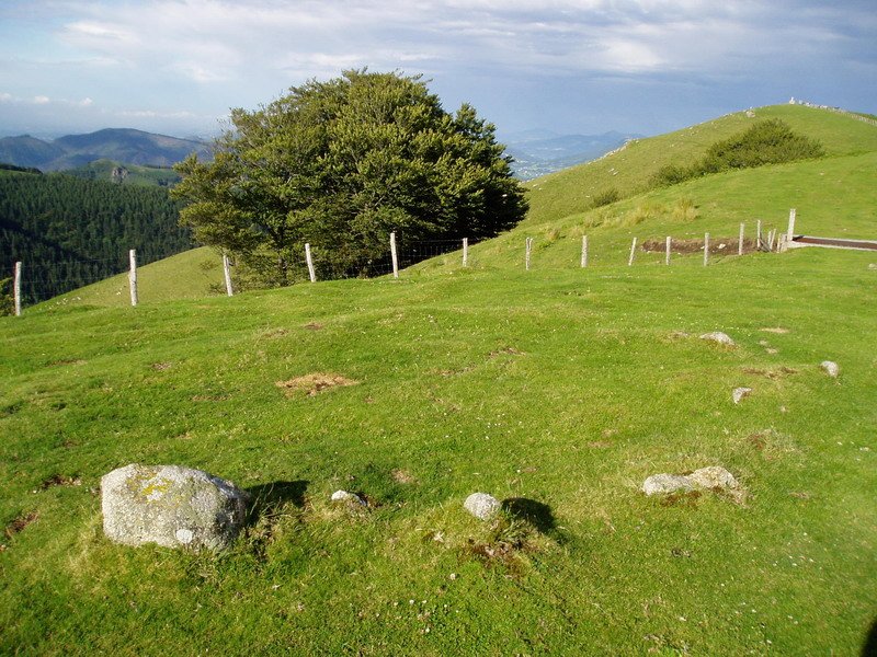 Arritxulangaña edo Irumugarrietako mairubaratzetako bat