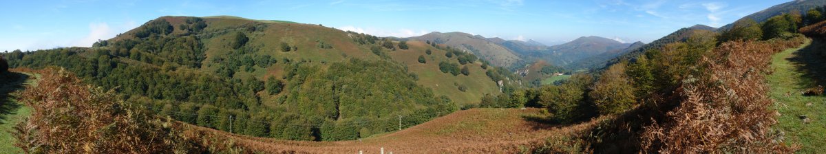 Aritzakun: bailararen goiko aldetik ikusita