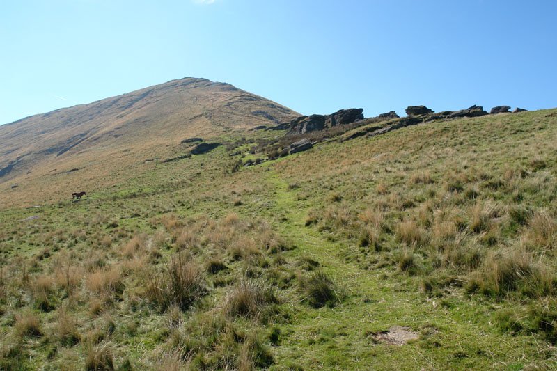 Gorramakil, Iparraldeko bizkarretik