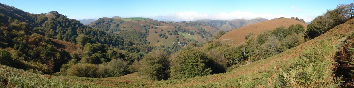 Aritzakun bailarako ikuspegia, IEko zeharbidetik