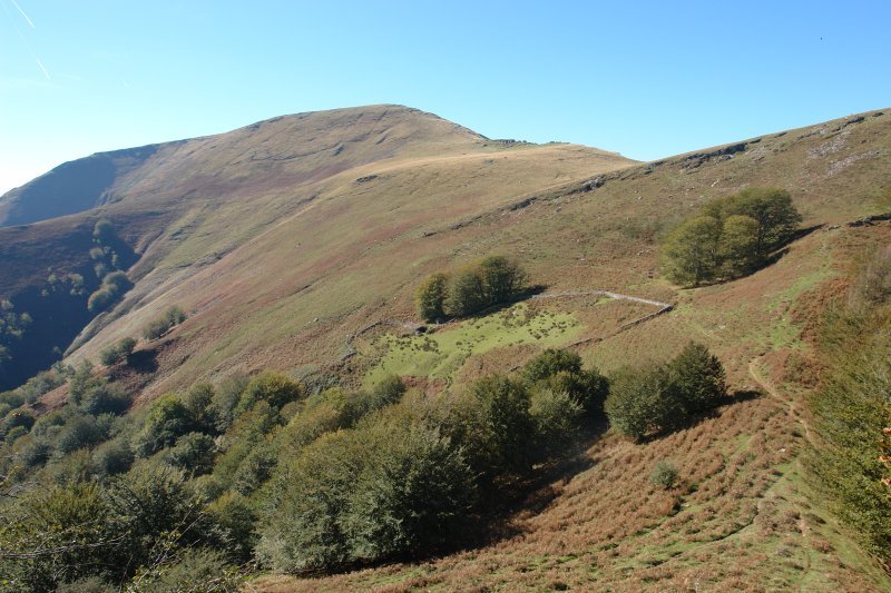 Gorramakil Gorostiko lepotik