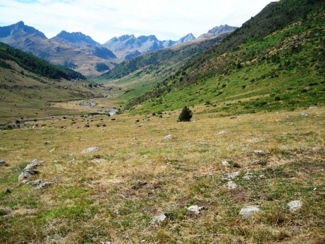 Guarrinzako bailara Mallo Blanco-tik