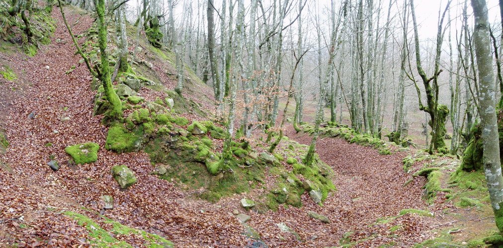 Gainlabur lepora iparraldetik igotzen den bidea