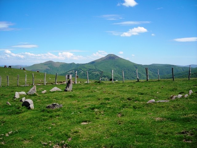 Luurzuko  harrespila