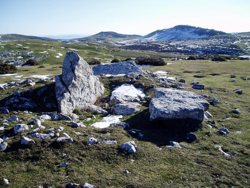 Trikuarriko trikuharria