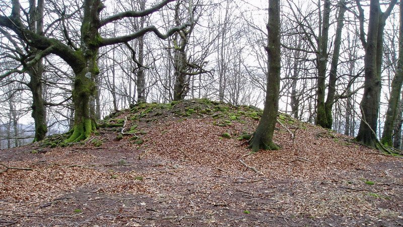 Balankaleku Ipar trikuharria