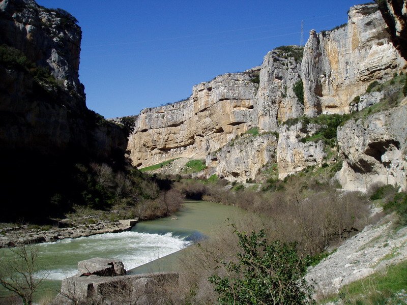 Arroilaren erdialdea