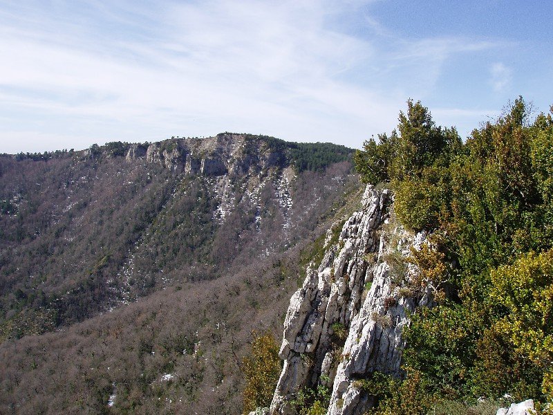 Santa Kruz Urizabetik