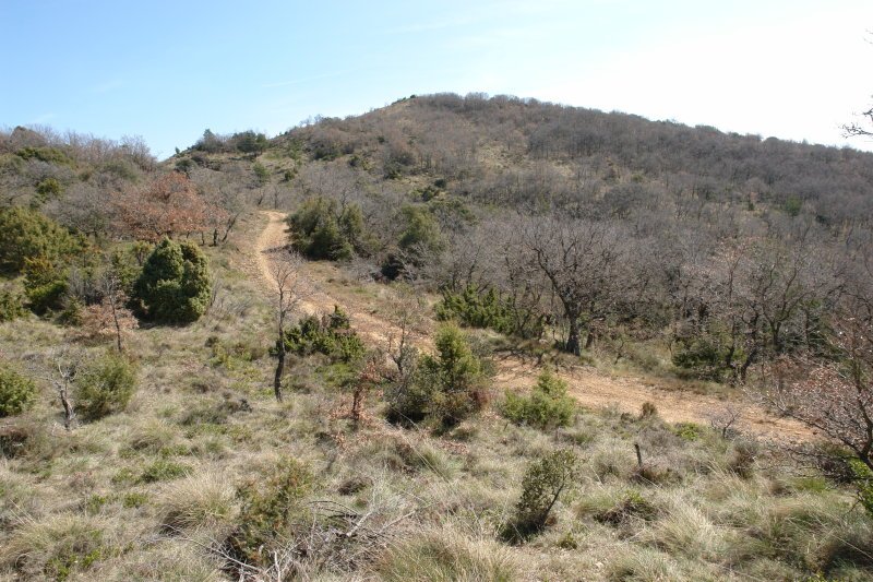 Tontorra Mendebaldetik