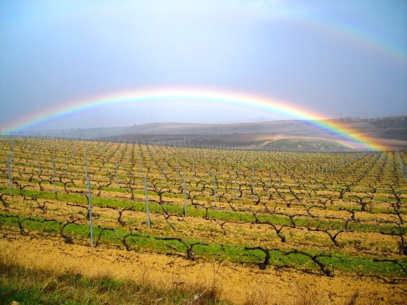 Ortzadarra , Biasteritik gertu
