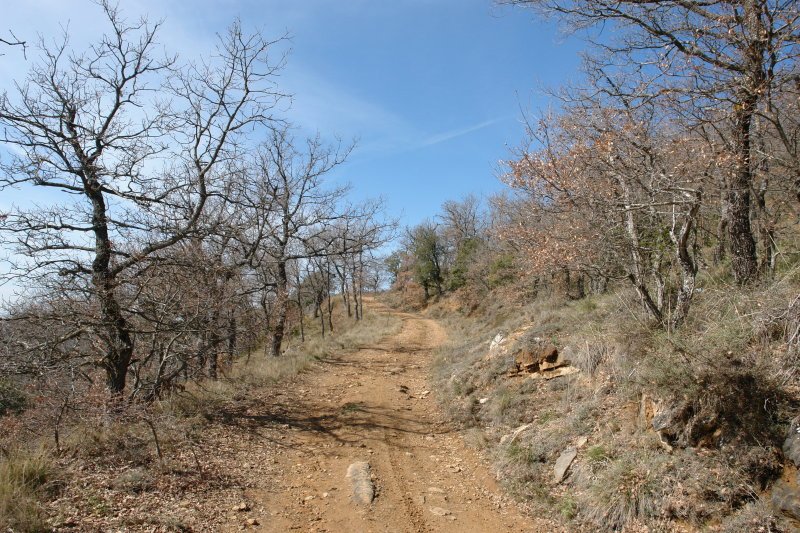 Ekialdeko bizkarreko bidea