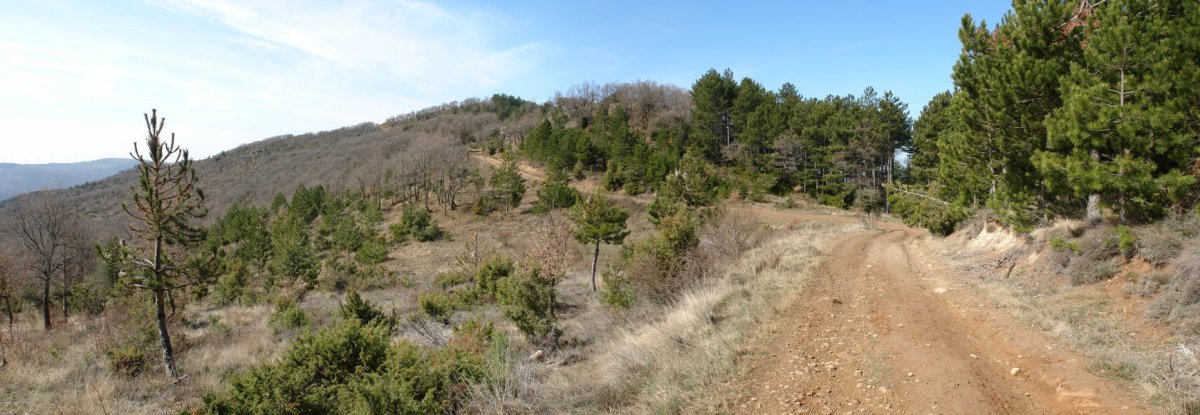 Ekialdeko bizkarreko bidea