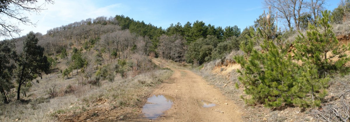 Ekialdeko bizkarreko bidea
