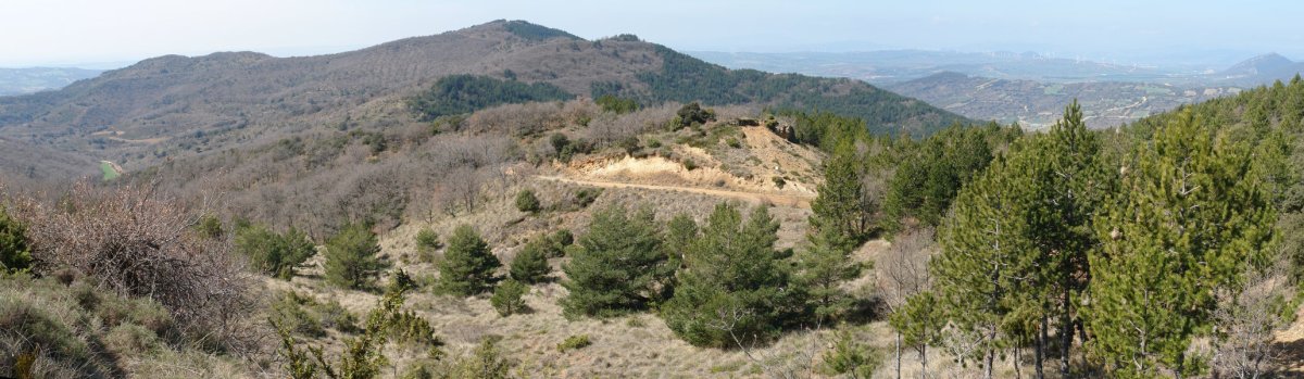 Amunarrizketa gainetik ikusita