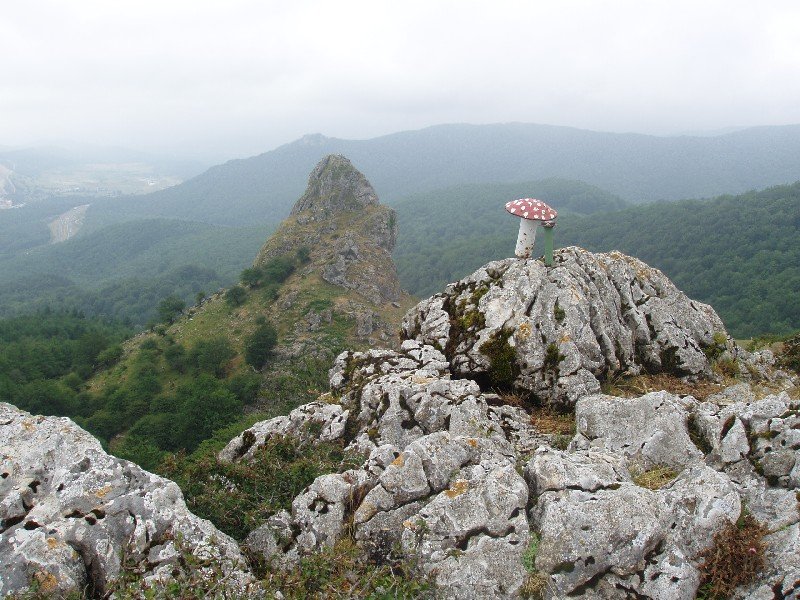 (Garagartzako harriak) Garagartzako tontorra eta, hondoan, Naparaitz