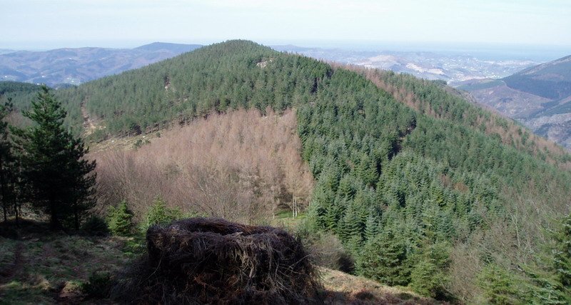 Arnabar Urdelar aldetik ikusita