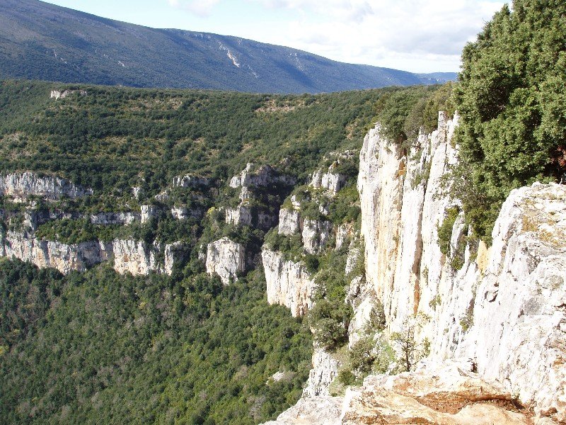 Arroilaren erdiko behatoki naturalak