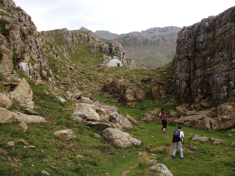 Forestales-en aterpe bitxia