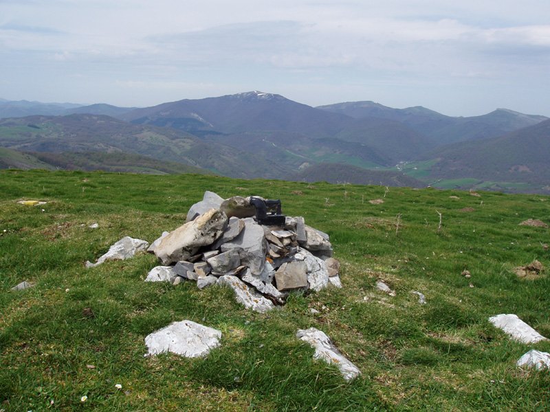 Auztarriko buzoi berri-berria