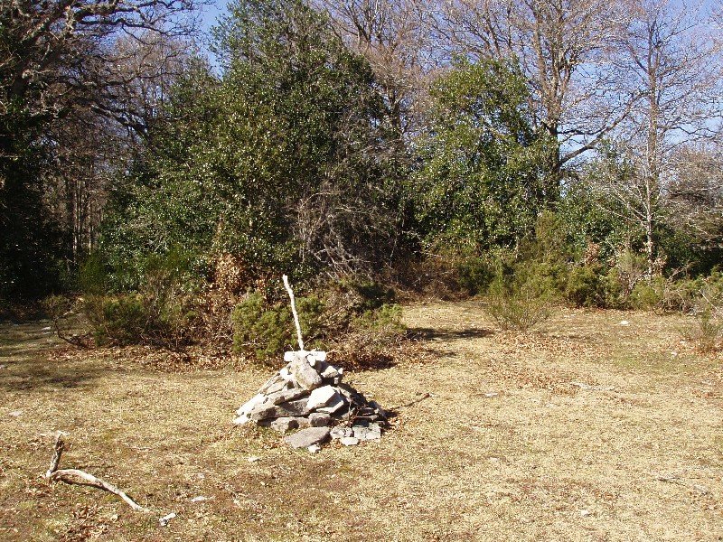 Bizkailuzko gailurra