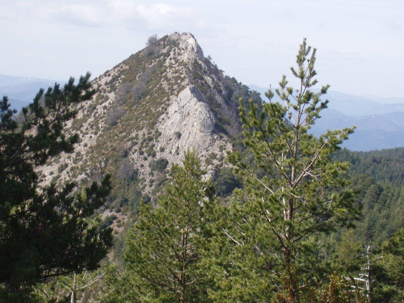 Dozola Matamatxoseko bidetik