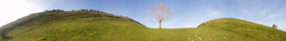 Lizarbakarra lepoa eta hegoaldeko isurialdea