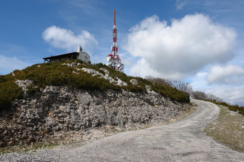 Tontorra errepidetik
