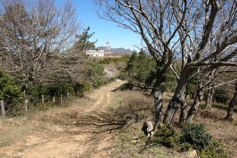 Iparraldeko tontorrerako bidea