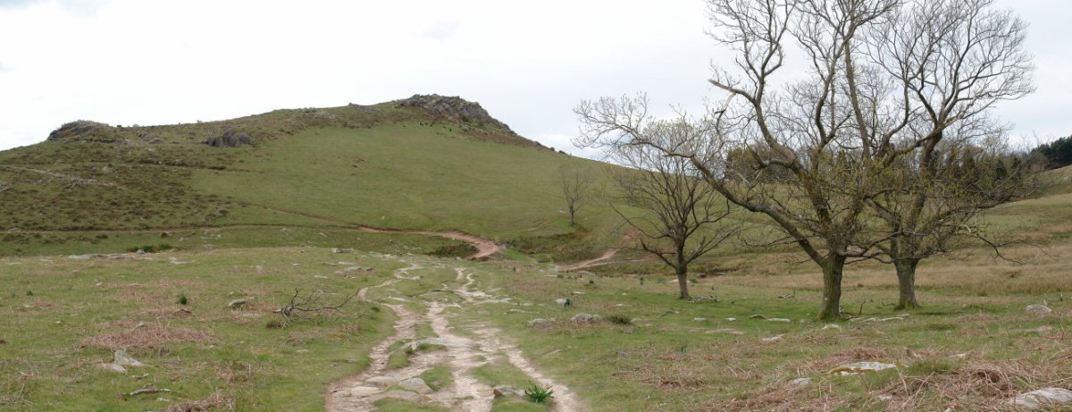 Altxanga Hiruiturrietako zohikaztegitik