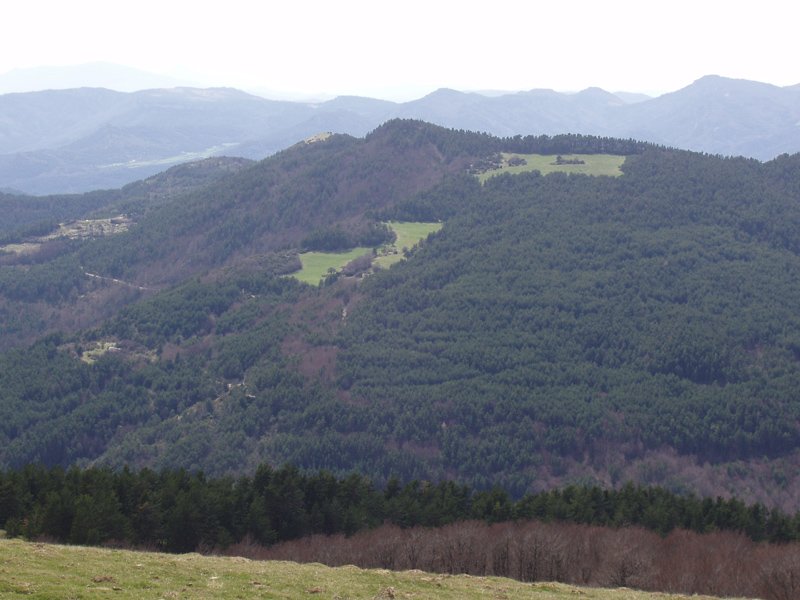 Migoleta, Txorrotxarriatik