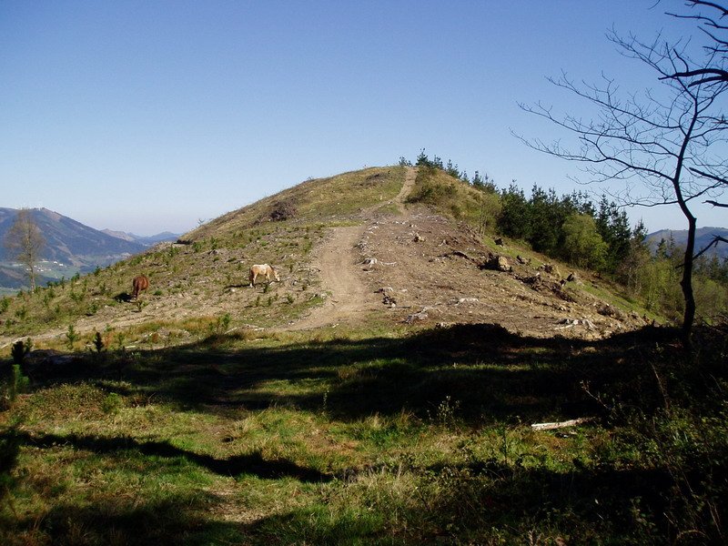 Hegoaldeko lepotik ikusita
