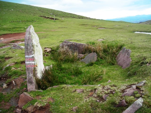 Meatseko lepoko trikuharria