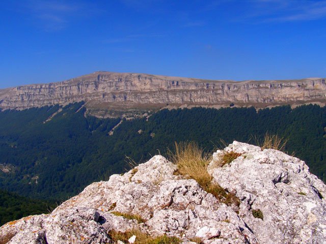 Eskalaborroko gailurra