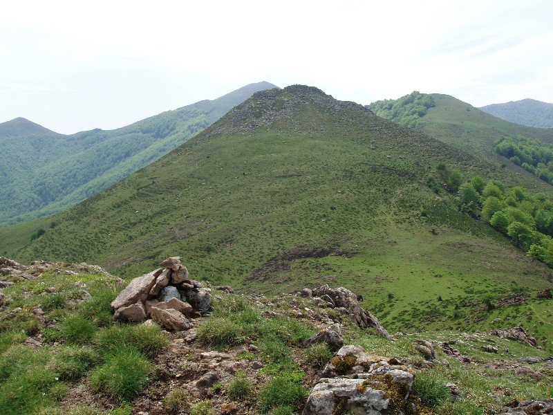 Katilliko Harri, Olaritik
