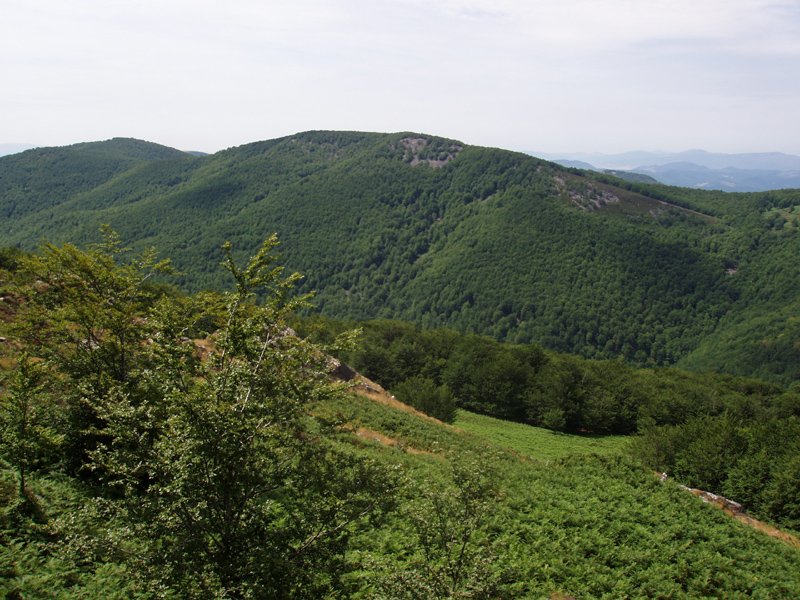 Burdindogi Erregerenatik