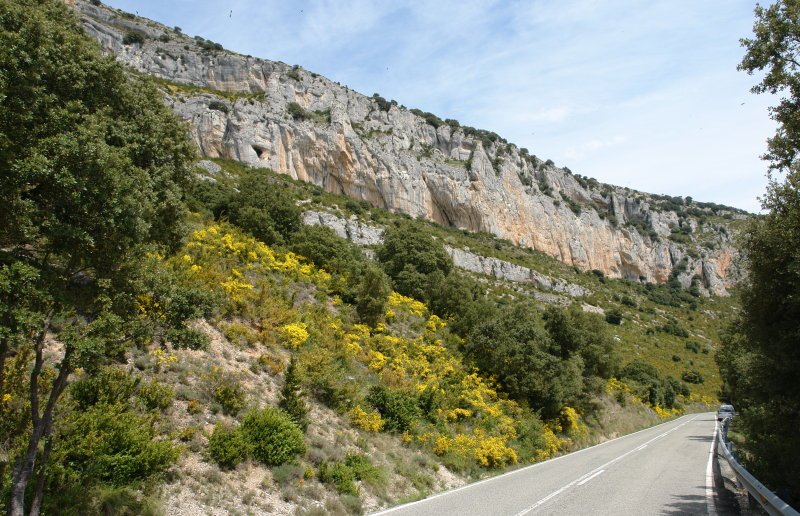 Ziritza aldeko amildegiak, errepidetik
