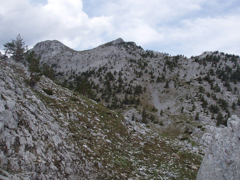 Ezkaurre-txikiko tontor bikoitza