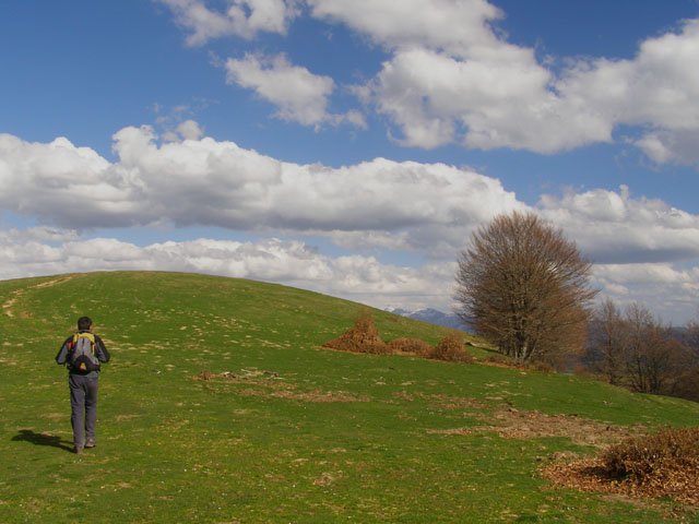 Gaztanbideako tontorra