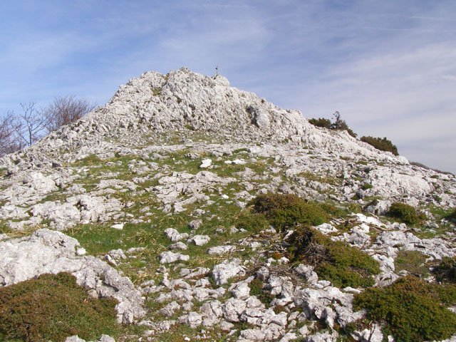 Allaitz txikiko tontorra